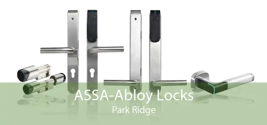 ASSA-Abloy Locks Park Ridge