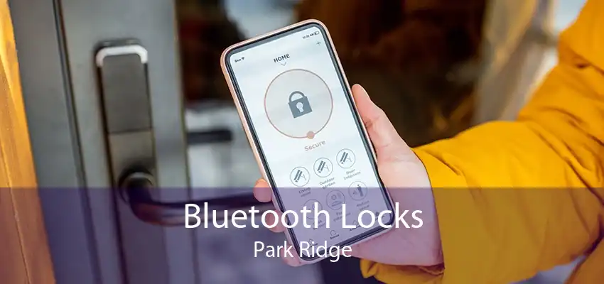 Bluetooth Locks Park Ridge