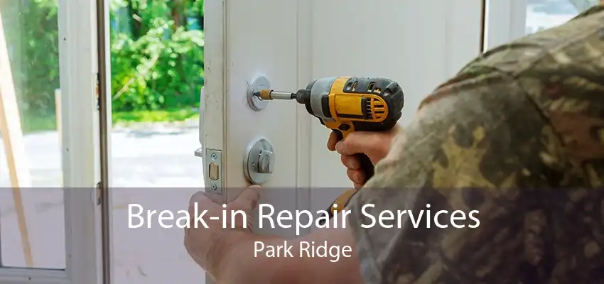Break-in Repair Services Park Ridge