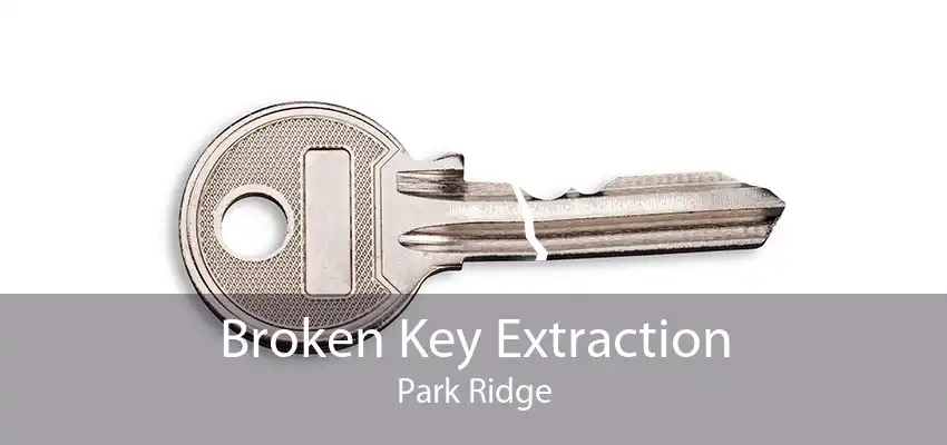 Broken Key Extraction Park Ridge