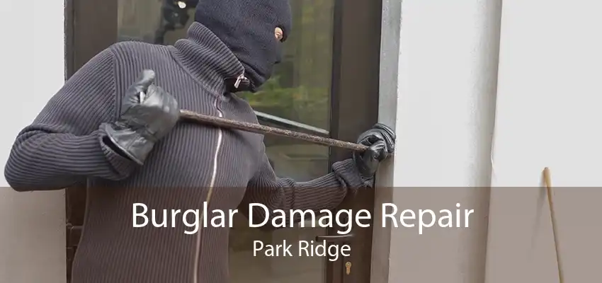 Burglar Damage Repair Park Ridge