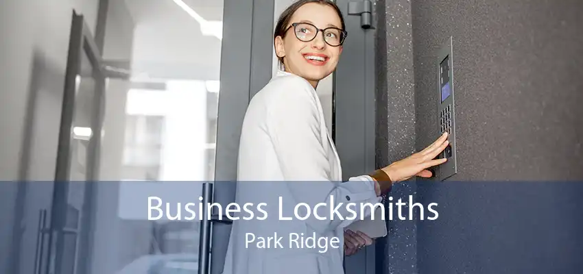 Business Locksmiths Park Ridge