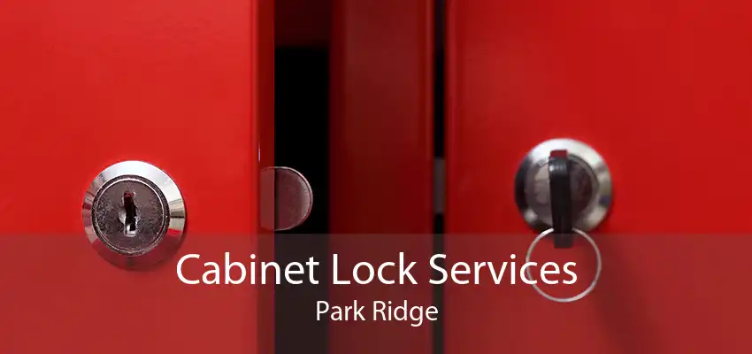 Cabinet Lock Services Park Ridge