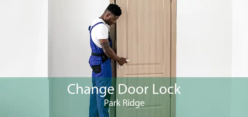 Change Door Lock Park Ridge