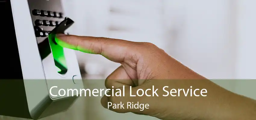 Commercial Lock Service Park Ridge