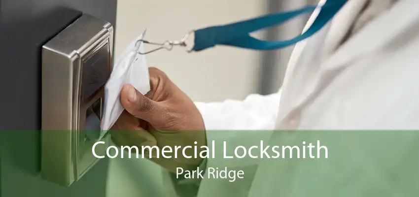 Commercial Locksmith Park Ridge