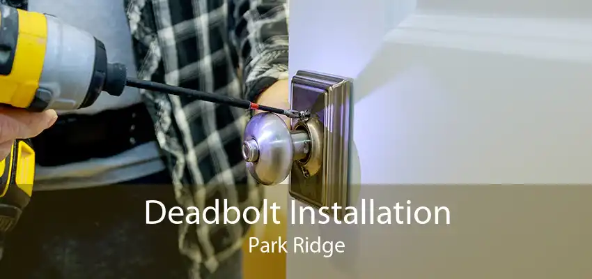 Deadbolt Installation Park Ridge