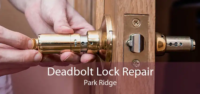 Deadbolt Lock Repair Park Ridge