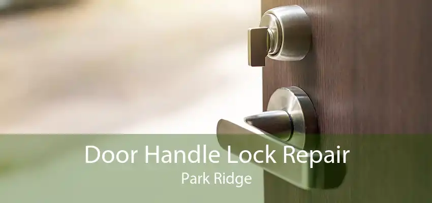Door Handle Lock Repair Park Ridge