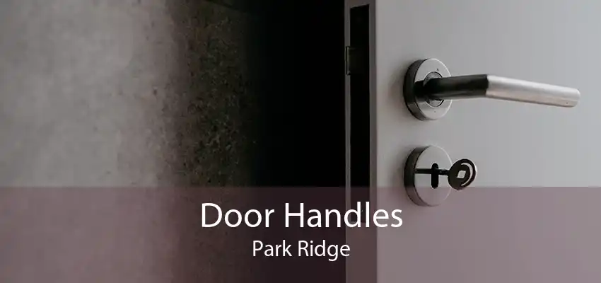 Door Handles Park Ridge
