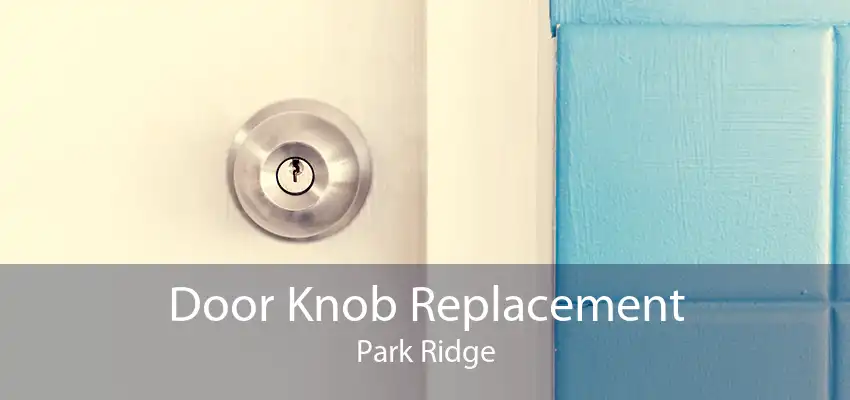 Door Knob Replacement Park Ridge