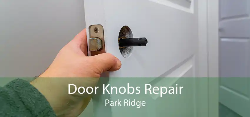 Door Knobs Repair Park Ridge