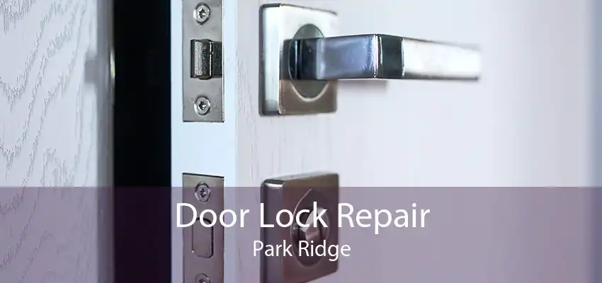 Door Lock Repair Park Ridge