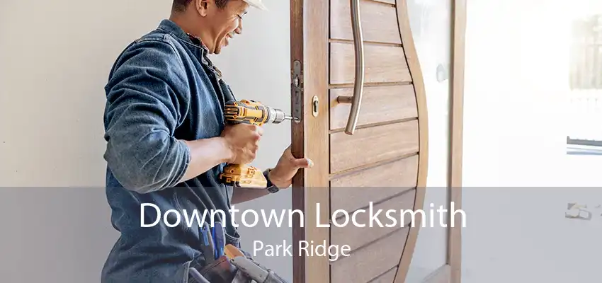 Downtown Locksmith Park Ridge