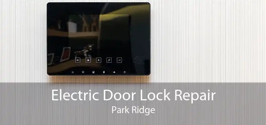 Electric Door Lock Repair Park Ridge