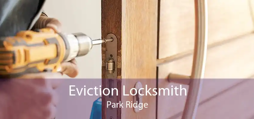 Eviction Locksmith Park Ridge