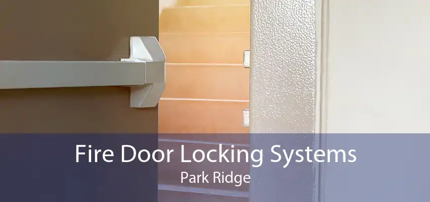 Fire Door Locking Systems Park Ridge