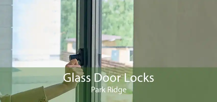 Glass Door Locks Park Ridge