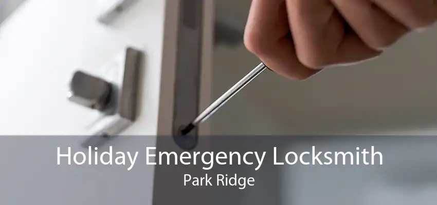 Holiday Emergency Locksmith Park Ridge