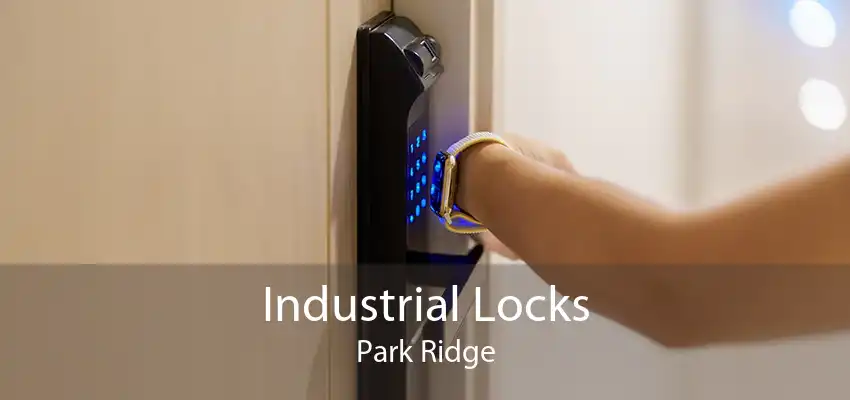 Industrial Locks Park Ridge
