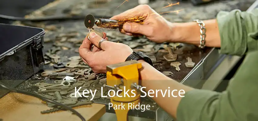 Key Locks Service Park Ridge