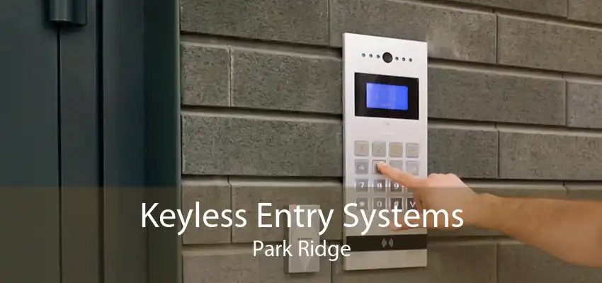 Keyless Entry Systems Park Ridge