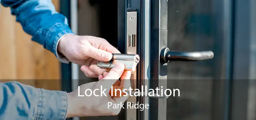 Lock Installation Park Ridge