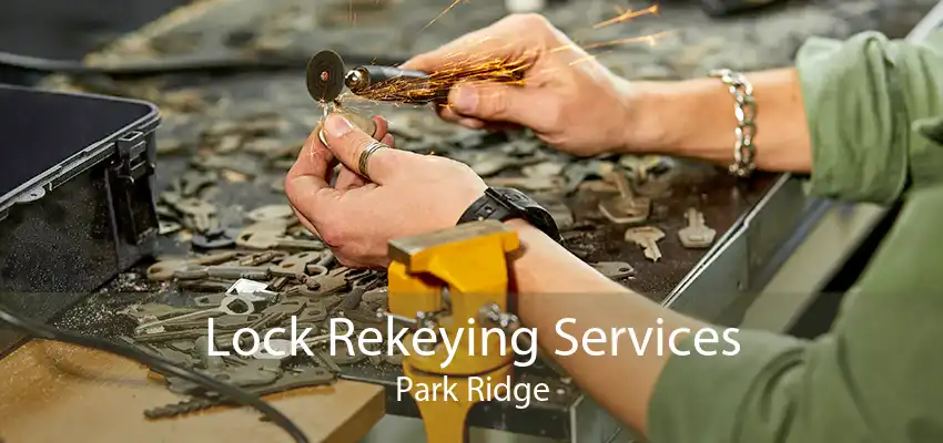 Lock Rekeying Services Park Ridge
