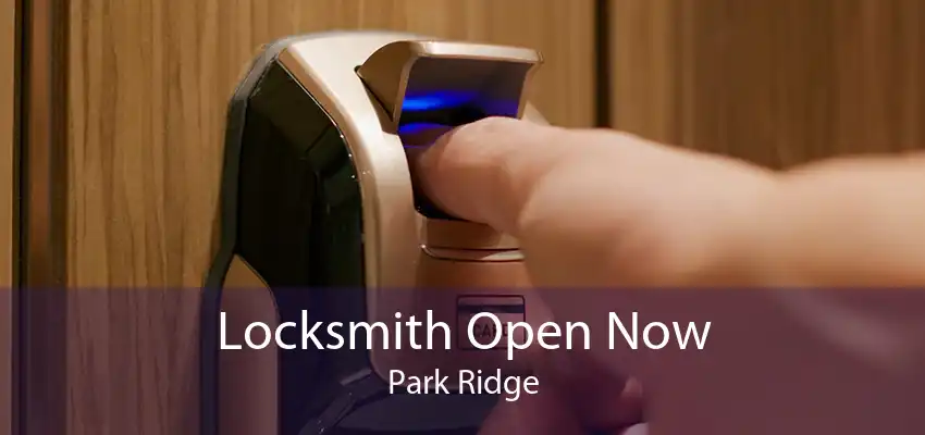 Locksmith Open Now Park Ridge