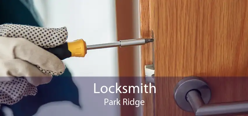 Locksmith Park Ridge
