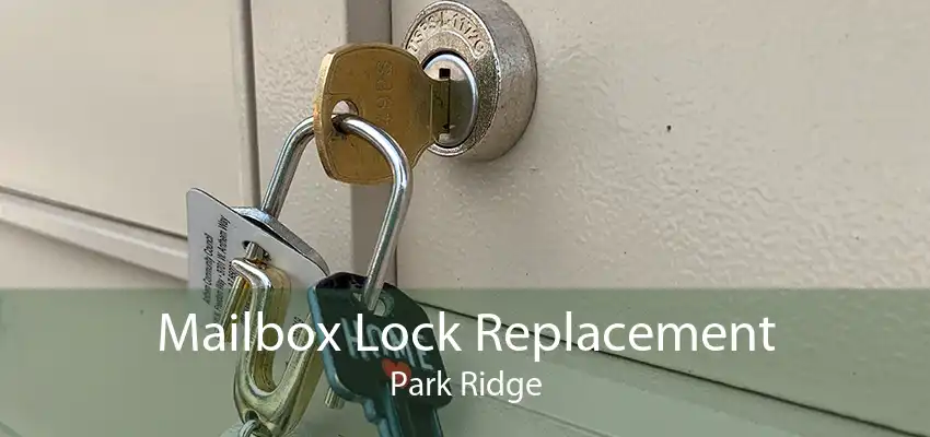 Mailbox Lock Replacement Park Ridge