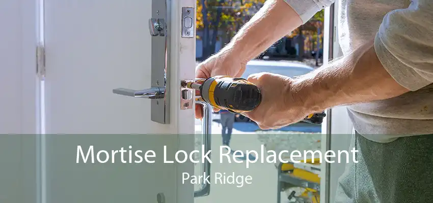 Mortise Lock Replacement Park Ridge