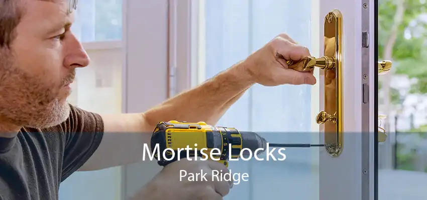 Mortise Locks Park Ridge