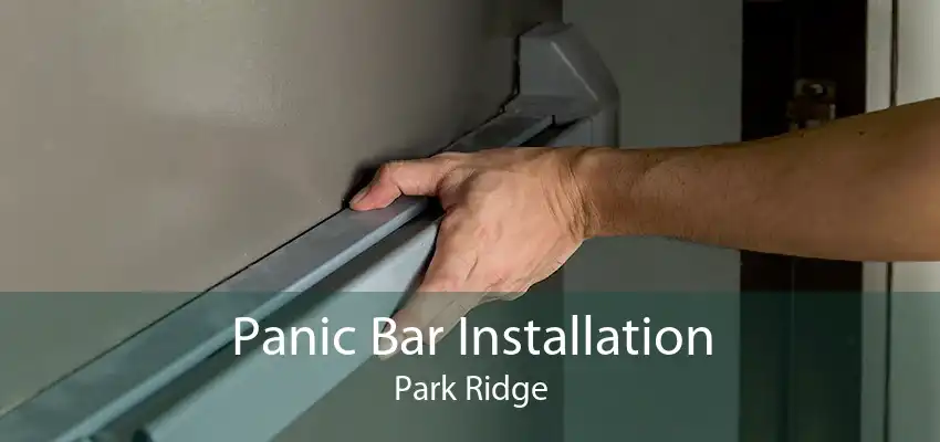 Panic Bar Installation Park Ridge