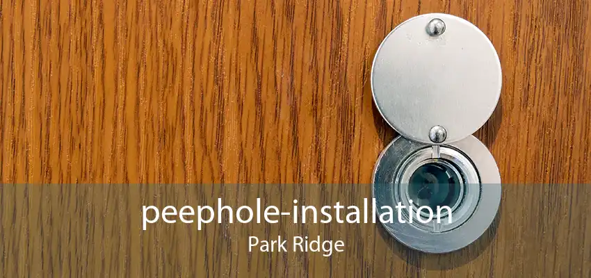 peephole-installation Park Ridge
