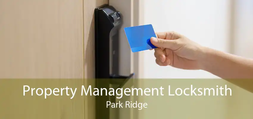Property Management Locksmith Park Ridge