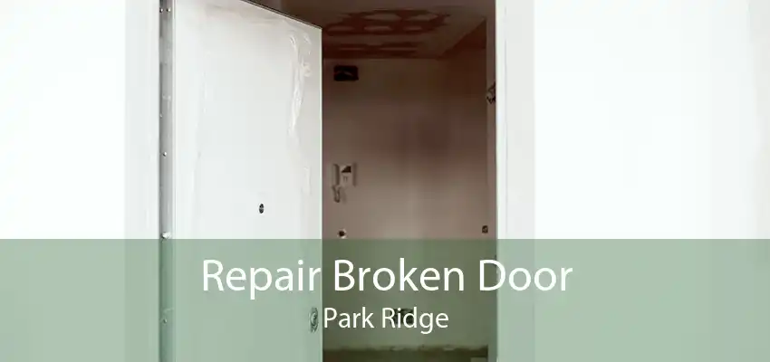 Repair Broken Door Park Ridge