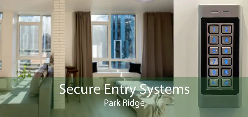 Secure Entry Systems Park Ridge