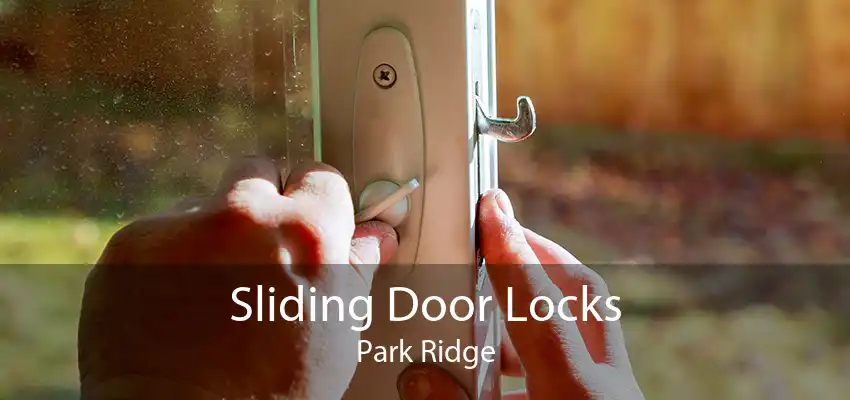 Sliding Door Locks Park Ridge