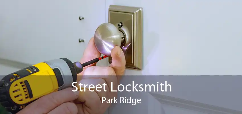 Street Locksmith Park Ridge