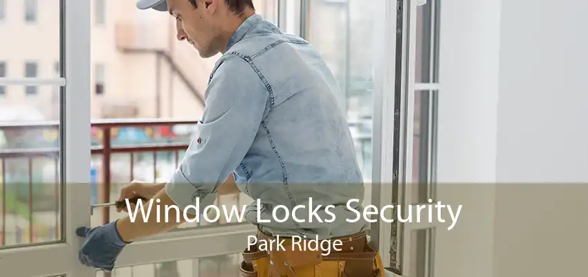 Window Locks Security Park Ridge